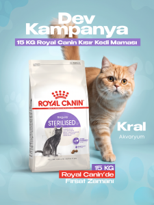 Kedi Maması